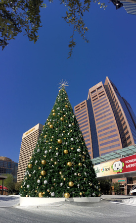 PHOENIX, AZ - NOVEMBER 17, 2016: White reflective tarp covering downtown city skating ring with decorated Christmas tree in sunny Phoenix, Arizonaのeditorial素材