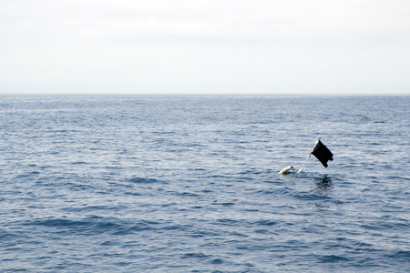 Black piece of cloth or similar material attached to a pole sticking out of a submerged floating container and used as a marker or buoy in open sea that can be found off the coast of Ventura county, Californiaの写真素材