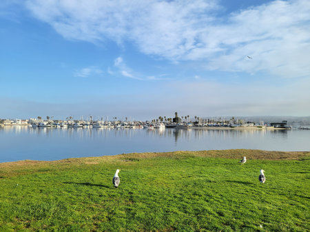 Morning hour at  Bahia Point public beach with a view at distant Mission Bay marina, San Diego, Californiaの写真素材