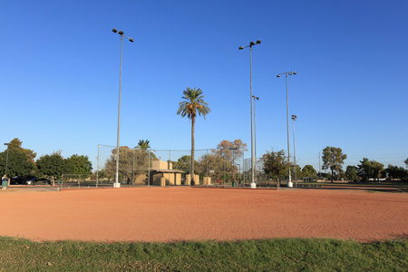 Public baseball sandlot field surrounded by green grass and protective ball netting in Cortez Park,...