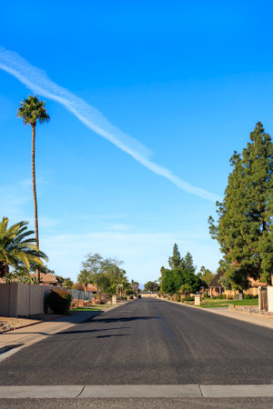 Arizona warm and sunny winter morning in residential community decorated with gigantic palm and huge Afgan pine treesの写真素材