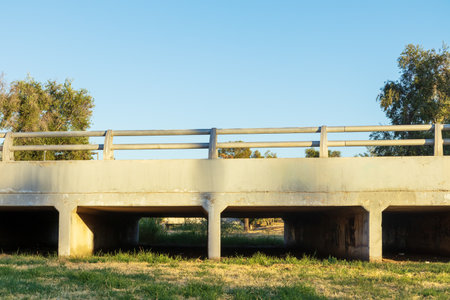 Bridge over dry river bed filled with green and brown grass in Winterの写真素材