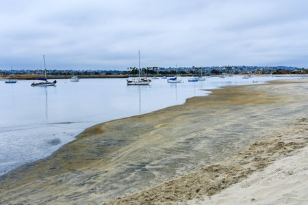 Curved shore lines of wet sand and dirt at Mariners Basin full of moored boats and yachts on a...