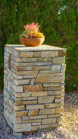 Crassula ovata Gollum Jade in a terracotta pot with other succulents set atop of a stone columnar pedestalの写真素材