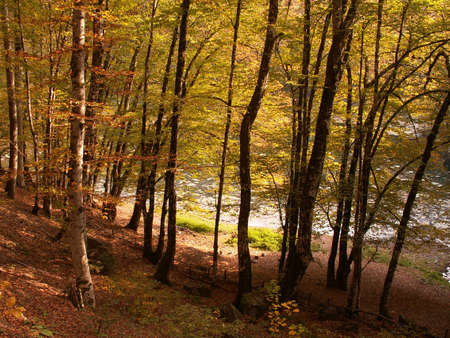 BOLU TURKEYの写真素材