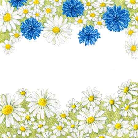 Hand drawn pencil background with cornflowers and chamomilesの写真素材