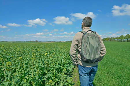 A man admiring a rural ladscape with fields of growing oilseed and grainの写真素材