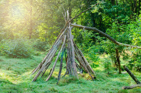 A hut of wooden logs in the forest with sun glow among the tree leaves
