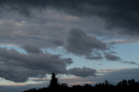 Stormy sky with dark clouds with the line of trees in the sunset time