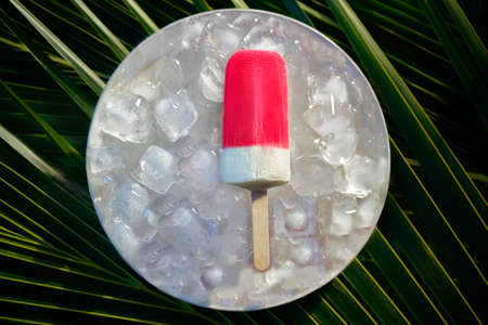 Natural, juicy, vegan popsicle with ice cream on stick, top view, flat layの写真素材