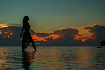 Happy young woman in a long dress dancing on the beach on a colourful sunset backgroundの写真素材