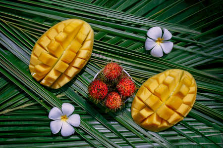 Mango, rambutan and frangipani flower on a palm leaf. Fresh Tropical Fruitsの写真素材