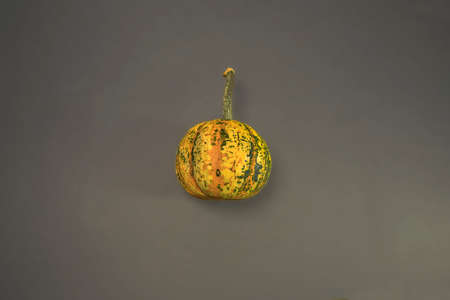 An Artistic, Dramatic Closeup of Small Rustic Pumpkinの写真素材