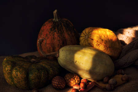 beautiful autumn composition with pumpkins in cozy styleの写真素材