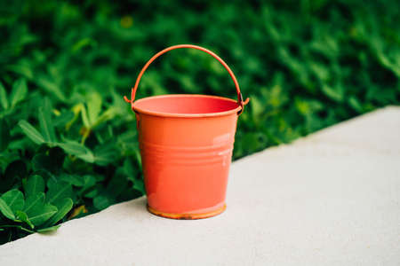 Coral watering buckets for plants in gardenの写真素材