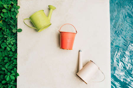 Colorful watering cans and buckets for plants in garden near poolの写真素材