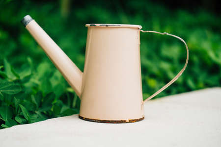Colorful watering cans for plants in gardenの写真素材