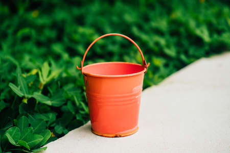 Coral watering buckets for plants in gardenの写真素材