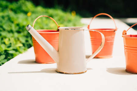 Colorful watering cans for plants at flowersの写真素材