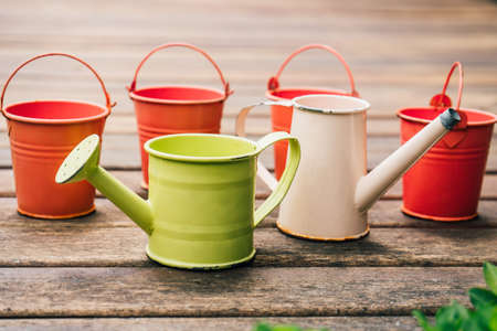 Colorful watering cans for plants and flowers on woodの写真素材