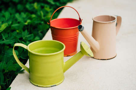 Colorful watering cans for plants at flowersの写真素材