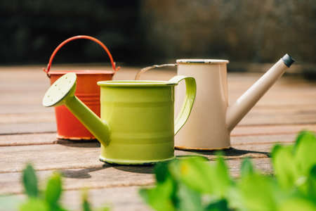 Colorful watering cans for plants and flowers on woodの写真素材
