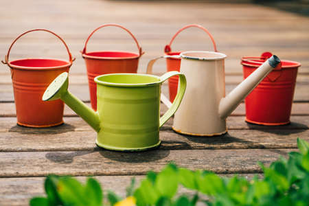 Colorful watering cans for plants and flowers on woodの写真素材