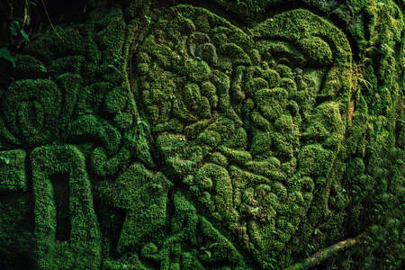 Beautiful carving faces with growing moss in Baliの写真素材