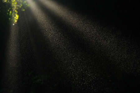 Beautiful sun light rays shining through cave