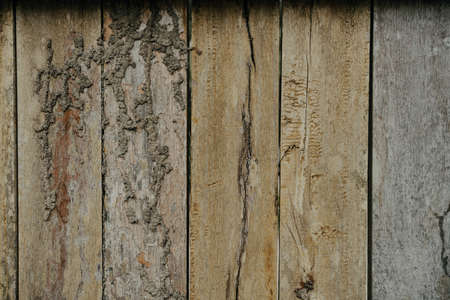 Old dark brown wooden background with vignetteの写真素材