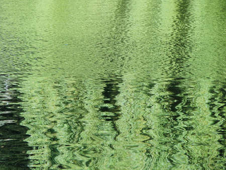 Background ripples on the water color green light reflections