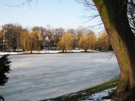 Landscape in the park Park Staszic Kielce winter - frozen water on the pond.の写真素材
