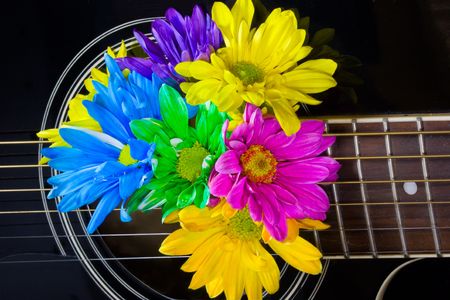 Closeup of a black acoustic guitar with bright multicolored daisies coming out of centerの写真素材