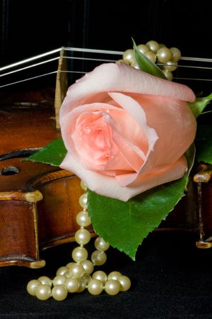 Pale peachy pink rose, pearls and old violinの写真素材