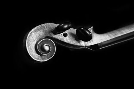 Black and white photo of neck and scroll of an old violinの写真素材