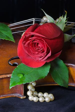 Beautiful red rose and string of pearls lay across old violin on black background.の写真素材