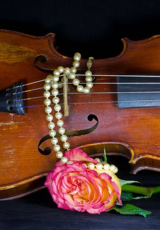 Closeup of an old violin, draped with string of pearls with variegated rose on black backgroundの写真素材
