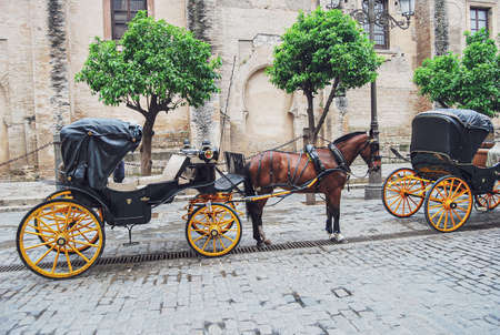 Typical horse carriage in the city of Seville, Andalucia, Spainの写真素材