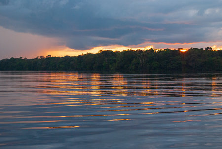 Nice postcard a sunset or sunrise in the Amazon river of South Americaの写真素材
