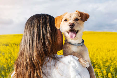 Portrait: young woman with happy dog, nature background. High quality photoの写真素材