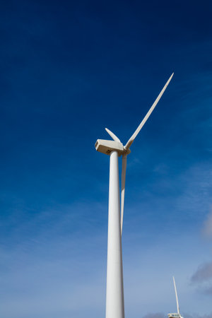 Marvel at the impressive height of wind turbines stretching towards the azure sky. Feel the breeze...