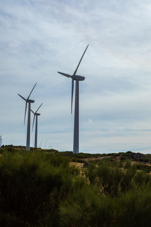 Majestic wind turbines rise against a backdrop of fluffy clouds in a picturesque landscape. The sun...