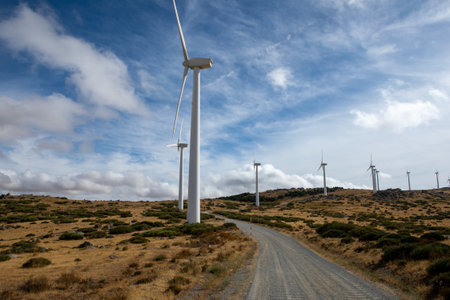 Giant wind turbines stand tall against a stunning blue sky, surrounded by golden grass and shrubs.の写真素材