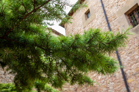 An ancient stone tower rises amidst vibrant green trees in a quiet village. The scene captures a peaceful atmosphere with cloudy skies above and natural beauty surrounding the structure.の写真素材