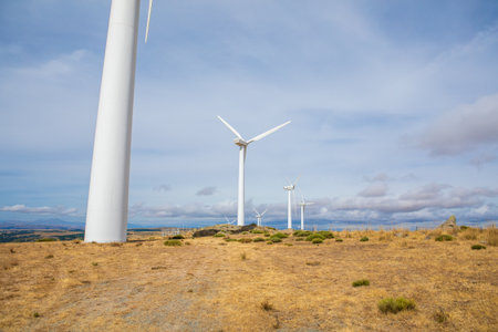 Giant wind turbines stand tall against a stunning blue sky, surrounded by golden grass and shrubs.