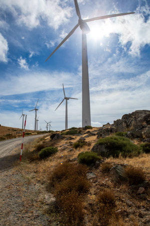 Giant wind turbines stand tall against a stunning blue sky, surrounded by golden grass and shrubs.
