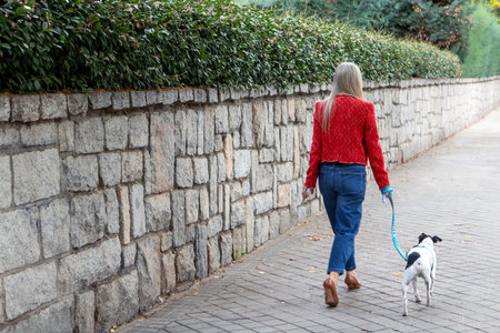 A woman with long gray hair strolls along a paved path with her small dog. They are surrounded by lush greenery and a stone wall, enjoying a peaceful outing.の写真素材