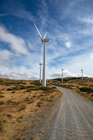 Giant wind turbines stand tall against a stunning blue sky, surrounded by golden grass and shrubs.の写真素材