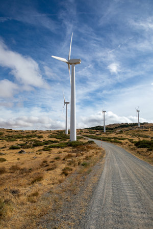 Giant wind turbines stand tall against a stunning blue sky, surrounded by golden grass and shrubs.