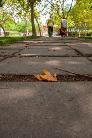 morning in city park, bright sunlight and shadows, beautiful landscape.の写真素材